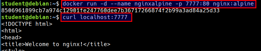accessing nginx from host